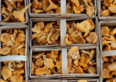Pilze ā steuerĀfreie DelikaĀtesse aus dem Wald