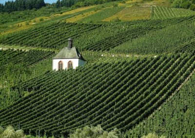 Hitze und Hagel – FrankÂreichs Ernte 2025 im KlimaÂstresstest